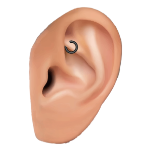 ロック/ルーク(Rock)