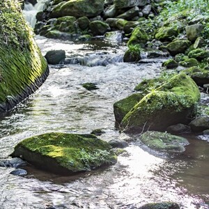 足柄万葉公園