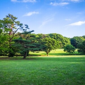 代々木公園