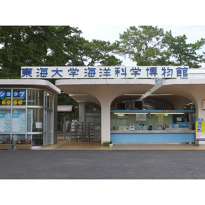 東海大学海洋科学博物館