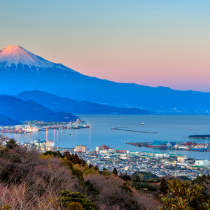 駿河湾