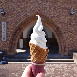 ミュージアムカフェぽらす