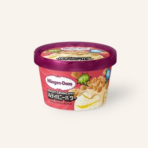 ハーゲンダッツ ミニカップ ROCKY CRUNCHY! ソルティハニーバター