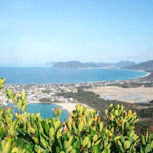糸島