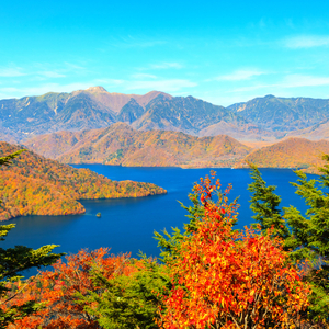 中禅寺湖