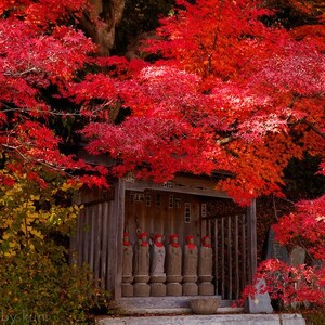 永源寺(茨城県)