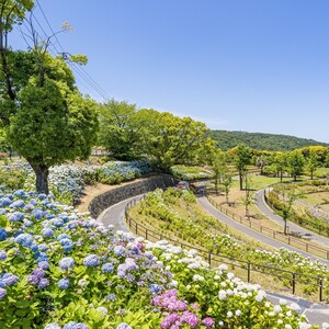 高塔山公園