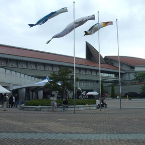 しまね海洋館アクアス