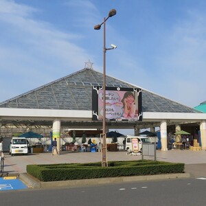 道の駅いたこ