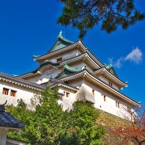 和歌山城