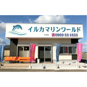 イルカマリンワールド