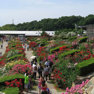 花フェスタ記念公園