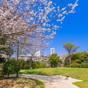 野毛山公園