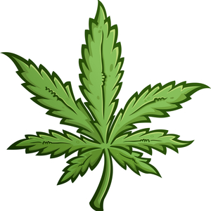 大麻