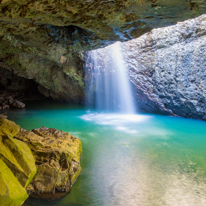 スプリングブルック国立公園(オーストラリア)
