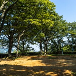八幡山公園(栃木県)