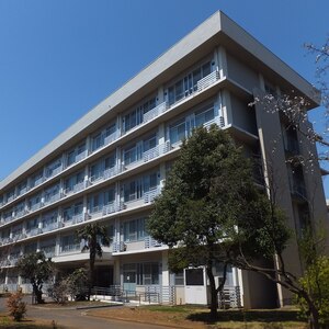 千葉大学