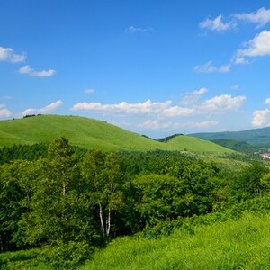 白樺高原