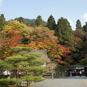 湖東三山