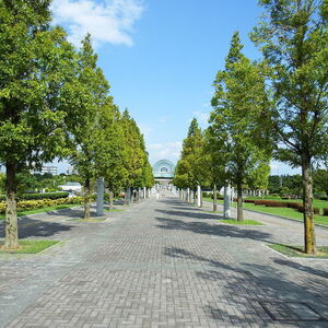 あいち健康の森公園