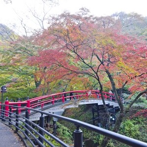 河鹿橋