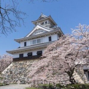 長浜城(長浜城歴史博物館)