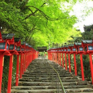 貴船神社(京都府京都市左京区鞍馬貴船町)