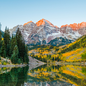 マルーンベルズ（アメリカ）