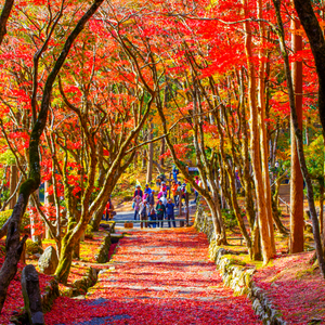 鶏足寺（滋賀県）