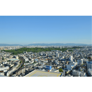 百舌鳥・古市古墳群