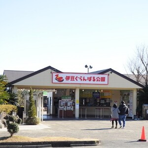 伊豆ぐらんぱる公園