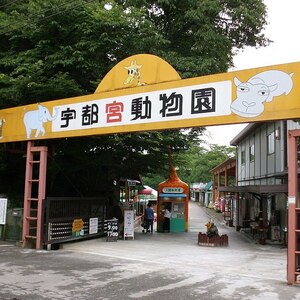 宇都宮動物園