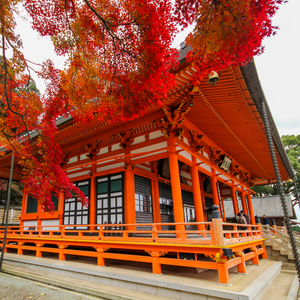 勝尾寺