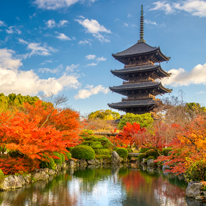 東寺・教王護国寺