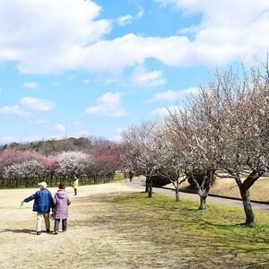 大高緑地