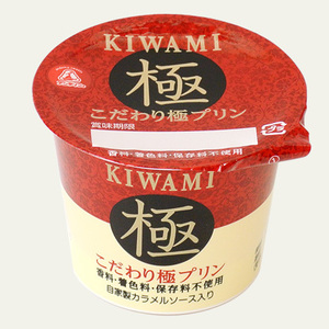 アンデイコ こだわり極プリン