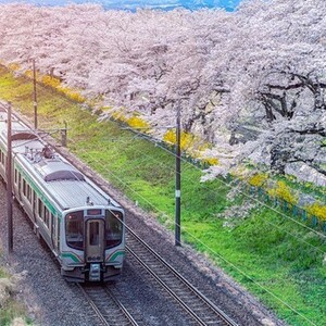 宮城県