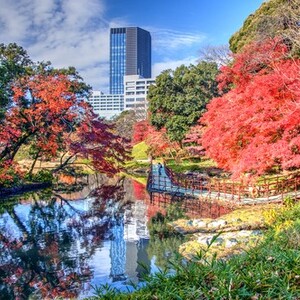小石川後楽園