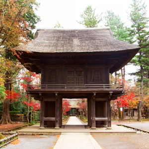 平林寺(埼玉県)
