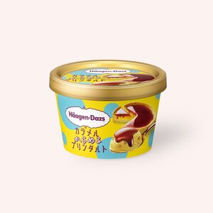 ハーゲンダッツ カラメルからめるプリンタルト