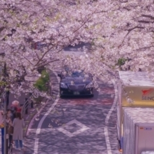 櫻坂
