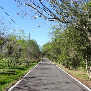グアス・メトロポリタノ公園(パラグアイ)