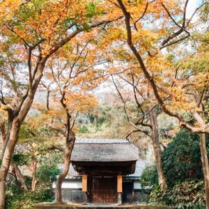 円覚寺(神奈川県)