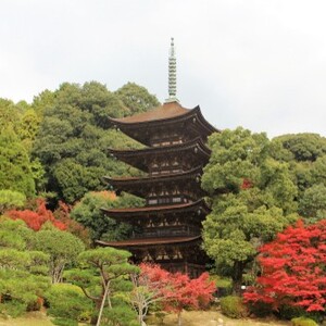 瑠璃光寺
