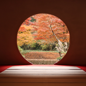 明月院(神奈川県)
