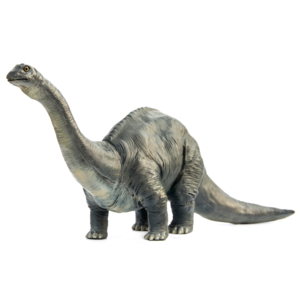 ブロントサウルス