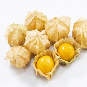 ゴールデンベリー