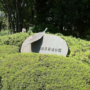 相模原麻溝公園