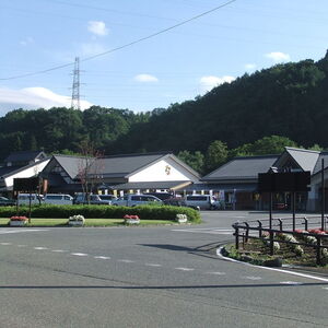 道の駅雫石あねっこ
