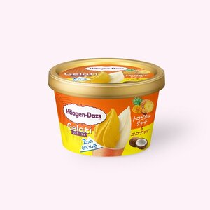 ハーゲンダッツ ミニカップ Gelati トロピカルリッチ＆ココナッツ
